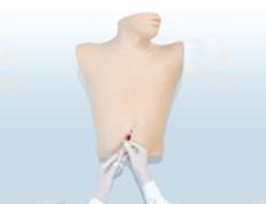 心包穿刺與心內注射仿真模型